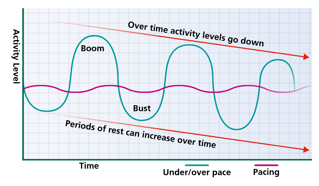 The vicious cycle
